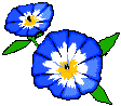 flower9.gif
